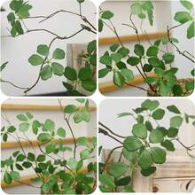 1支极简禅意风格人造绿植枝条，适用于室内家居桌面装饰及春夏装饰。适合家居、客厅、房间、派对装饰；婚礼用品、房间装饰。 - 綠色 - 查看 6