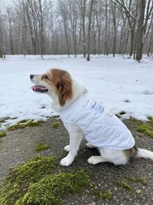 1 件温暖羊毛狗背心 - 寒冷天气宠物夹克，小型犬、幼犬和猫、幼猫户外保暖服装，厚垫宠物服装，秋冬宠物用品