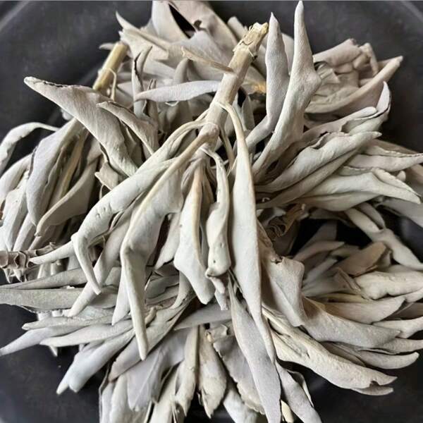 30g/50g Frunze Naturale de Salvie Albă - Perfecte pentru Curățenia Casei, Meditație și Purificare - Parfum de Lungă Durată - Potrivite pentru Decorațiuni de Halloween, Crăciun și Ziua Recunoștinței