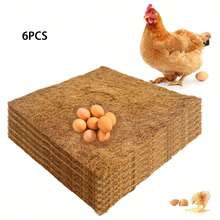 农场动物鸡舍 - 彩色 - 查看 15