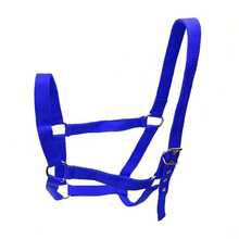 1 pieza Cabezada ajustable para caballos, Cabezada de arnés de cinta de polipropileno de 2,5 cm de ancho, Adecuada para diversos escenarios de entrenamiento y equitación, Esencial para la equitación al aire libre - Multicolor - Ver 16