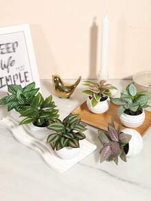 3/6片装高品质仿真盆栽植物叶片，包括网状草、斑马纹胡椒草、胡椒草，迷你盆栽，粉色/绿色可选，PE材质，适用于户外派对装饰、花园装饰、丰收节、圣诞节盆栽。 - 白色 - 查看 3