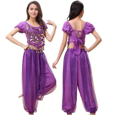 1pc Women's Adult Dance Costume, Sequin Loose Pants, Belly Dance Shiny Chiffon Harem Pants, Stage Performance & Dance Practice Trousers, With Waist Chain And Hip Scarf