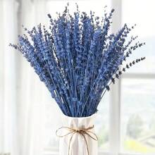25/50/100/200+枝干薰衣草花束，芬芳的干薰衣草束，适合淋浴、婚礼、家居花瓶装饰、工艺品、芳香疗法和香薰 - 彩色 - 查看 16