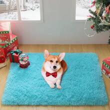 Modern Soft Fluffy Small Shaggy Rug For Bedroom Livingroom Dorm Kids Room Indoor Home Decorative, Non-Slip Plush Furry Fur Area Rugs Comfy Nursery Accent Floor Carpet 2x3 Feet, Teal - 藍綠色 - 查看 8