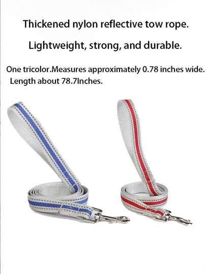 Collar y correa personalizados para mascotas, adecuados para pasear perros y gatos