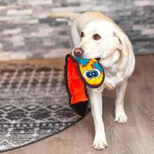 Outward Hound Durablez Stuffing-Free Squeaky Interactive Dog Toy, Tough Plush, Snake, Blue, XL - MàuF - Xem 5
