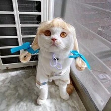 1pc Cat Headgear - Funny And Cute, Cat Hat, Photo Best Match Props - Brown - View 3