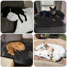 Calming Dog Bed Fluffy Plush Dog Mat For Furniture Protector With Removable Washable Cover For Large Medium Small Dogs And Cats (L (45"X37"X6"), Black) - Black - View 6