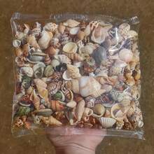 Kolorowa mieszanka piasku muszlowego - woreczek 50/100 g/200 g, 12 wyjątkowych wzorów do rękodzieła, scrapbookingu, butelek dryfujących i dekoracji akwariowych, prezentów urodzinowych i ukończenia szkoły