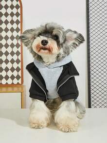 新款秋冬宠物狗连帽卫衣，保暖两件套设计，时尚简约 - 黑色 - 查看 2