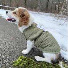 1 件温暖羊毛狗背心 - 寒冷天气宠物夹克，小型犬、幼犬和猫、幼猫户外保暖服装，厚垫宠物服装，秋冬宠物用品