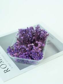 25/50/100/300 piezas Flores de Nube de Bebé y otras flores secas - Para moldes de resina, artesanía, ramos de flores blancas marfil para accesorios para el cabello, coronas de boda, jarrones de mesa, decoración del hogar - Multicolor - Ver 7
