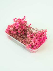 25/50/100/300 piezas Flores de Nube de Bebé y otras flores secas - Para moldes de resina, artesanía, ramos de flores blancas marfil para accesorios para el cabello, coronas de boda, jarrones de mesa, decoración del hogar - Multicolor - Ver 2