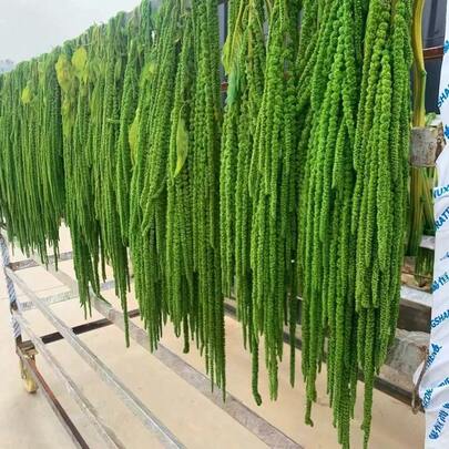 1/2/3/4/5件细长悬挂米粒装饰，绿色花卉装饰，高端时尚圣诞装饰，家居装饰/婚礼干花装饰