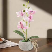 1 件人造蝴蝶兰盆栽，情人节、生日毕业礼物 - 白色 - 查看 9