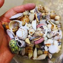 Kolorowa mieszanka piasku muszlowego - woreczek 50/100 g/200 g, 12 wyjątkowych wzorów do rękodzieła, scrapbookingu, butelek dryfujących i dekoracji akwariowych, prezentów urodzinowych i ukończenia szkoły