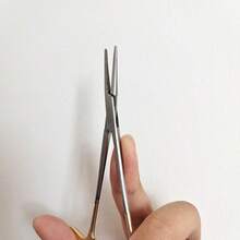 13厘米（5英寸）宠物美容院止血钳专业狗医院猫受伤工具家用不锈钢不锈钢彩色止血钳，直头电镀宠物耳毛脱毛钳，美容工具随机款式 - 彩色 - 查看 11