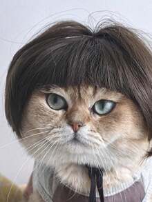 1pc Cat Headgear - Funny And Cute, Cat Hat, Photo Best Match Props - Brown - View 1