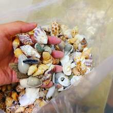 Kolorowa mieszanka piasku muszlowego - woreczek 50/100 g/200 g, 12 wyjątkowych wzorów do rękodzieła, scrapbookingu, butelek dryfujących i dekoracji akwariowych, prezentów urodzinowych i ukończenia szkoły