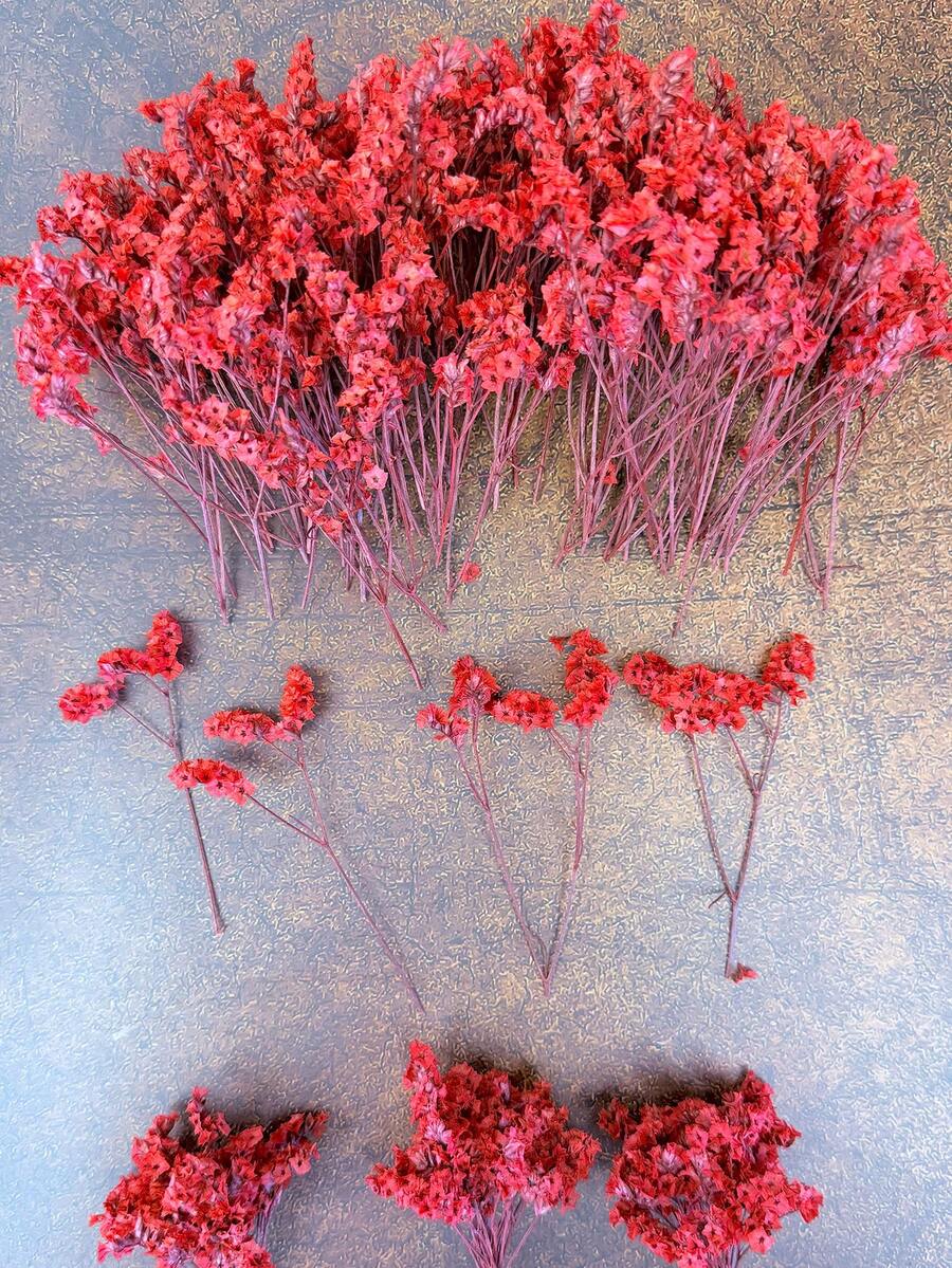 25/50/100/300pcs Mini Gypsophila & Other Dried Flowers - For Resin Mold Art And Handicrafts, Ivory White Bouquet For Hair Accessories, Wedding Wreaths, Tabletop Decor, Home Decoration