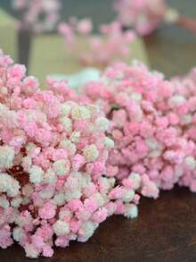 25/50/100/300 件迷你满天星及其他干花 - 用于树脂模具艺术和手工艺品，象牙白色花束，用于发饰、婚礼花环、餐桌装饰、家居装饰 - 淺粉色 - 查看 5