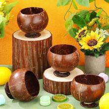 12 Pcs 13.5 Oz Coconut Shell Cups Bulk Hawaiian Party Supplies Polished Natural Coconut Bowls Luau Party Favors Tiki Decorations For Cocktail Drinking Smoothie Salad Ice Cream - 棕色 - 查看 5