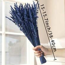 25/50/100/200+枝干薰衣草花束，芬芳的干薰衣草束，适合淋浴、婚礼、家居花瓶装饰、工艺品、芳香疗法和香薰 - 彩色 - 查看 6