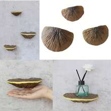 Juego de estantes de almacenamiento de Lingzhi de resina (3 piezas, estante colgante de pared de estilo artístico decorativo de Lingzhi, adecuado para contenedores de vidrio en el dormitorio, soporte suspendido para decoración de pared en rincones, tema natural al aire libre, decoración de festivales en paredes, puede sostener artículos, adecuado para geckos y mascotas trepadoras, decoración de plantas en miniatura de hongos de jardín al aire libre)