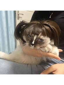 1pc Cat Headgear - Funny And Cute, Cat Hat, Photo Best Match Props - Brown - View 7