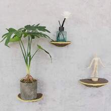 Juego de estantes de almacenamiento de Lingzhi de resina (3 piezas, estante colgante de pared de estilo artístico decorativo de Lingzhi, adecuado para contenedores de vidrio en el dormitorio, soporte suspendido para decoración de pared en rincones, tema natural al aire libre, decoración de festivales en paredes, puede sostener artículos, adecuado para geckos y mascotas trepadoras, decoración de plantas en miniatura de hongos de jardín al aire libre)