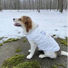 1pc Warm Fleece Dog Vest - Cold Weather Pet Jacket, Outdoor Warm Clothing For Small Dogs, Puppies & Cats, Kittens, Thick Padded Pet Apparel, Autumn Winter Pet Supplies