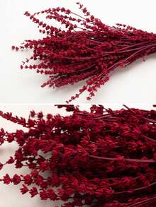 25/50/100/200+枝干薰衣草花束，芬芳的干薰衣草束，适合淋浴、婚礼、家居花瓶装饰、工艺品、芳香疗法和香薰 - 彩色 - 查看 17