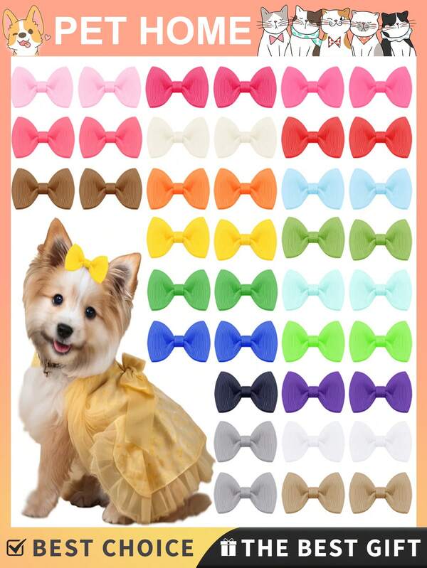 1 Stück 20 Stück Hundeschleifen, Hundezubehör, Hundehaarschleifen, Hundehaarclips, kleine Hundeschleifen, Hundeschleifen mit Clips, Zubehör, Welpen Schleifen, Zubehör für kleine Hunde, Welpen Zubehör für Hunde, Welpen Schleifen für kleine Hunde, Hundehaar Zubehör