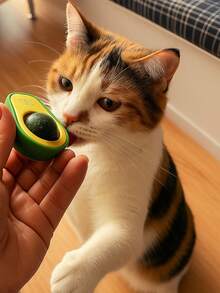 Interactive Avocado Cat Toy With Catnip Ball - 綠色 - 查看 6