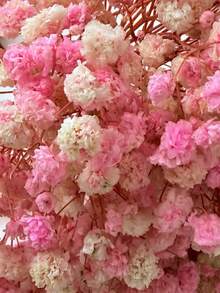 25/50/100/300 件迷你满天星及其他干花 - 用于树脂模具艺术和手工艺品，象牙白色花束，用于发饰、婚礼花环、餐桌装饰、家居装饰 - 淺粉色 - 查看 3