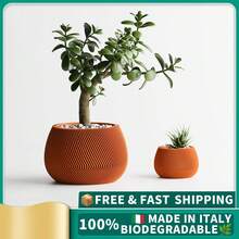 Arancione