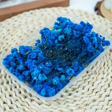 25/50/100/300 piezas Flores de Nube de Bebé y otras flores secas - Para moldes de resina, artesanía, ramos de flores blancas marfil para accesorios para el cabello, coronas de boda, jarrones de mesa, decoración del hogar - Multicolor - Ver 5