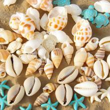 28pcs (Including 3 Rolls Of String) / 70pcs (Including 5 Rolls Of String) DIY Jewelry Accessories, Handmade Beaded Bracelet Necklace Anklet Supplies, Ocean Series Colorful Turtle, Starfish, Macaron Colors, With 3 Rolls Of Elastic Cord, Random Sizes