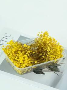 25/50/100/300 piezas Flores de Nube de Bebé y otras flores secas - Para moldes de resina, artesanía, ramos de flores blancas marfil para accesorios para el cabello, coronas de boda, jarrones de mesa, decoración del hogar - Multicolor - Ver 32