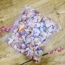 Kolorowa mieszanka piasku muszlowego - woreczek 50/100 g/200 g, 12 wyjątkowych wzorów do rękodzieła, scrapbookingu, butelek dryfujących i dekoracji akwariowych, prezentów urodzinowych i ukończenia szkoły