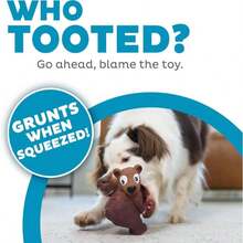 Outward Hound Tootiez Sheep Grunting Latex Rubber Dog Toy, Small - Màu B - Xem 2