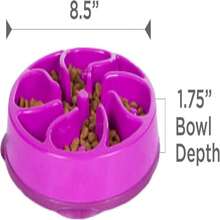 Outward Hound Fun Feeder Slo Bowl, Medium Slow Feeder Dog Bowl, 2 Cups, Turquoise - MàuF - Xem 7