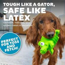 Outward Hound Tootiez Sheep Grunting Latex Rubber Dog Toy, Small - ColorC - 查看 4