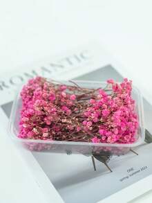 25/50/100/300 piezas Flores de Nube de Bebé y otras flores secas - Para moldes de resina, artesanía, ramos de flores blancas marfil para accesorios para el cabello, coronas de boda, jarrones de mesa, decoración del hogar - Multicolor - Ver 49