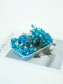 25/50/100/300 piezas Flores de Nube de Bebé y otras flores secas - Para moldes de resina, artesanía, ramos de flores blancas marfil para accesorios para el cabello, coronas de boda, jarrones de mesa, decoración del hogar - Multicolor - Ver 13