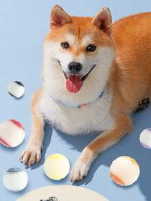 2.5 英寸吱吱发光狗球 - 几何图案，耐用天然橡胶，适合所有品种，免电池互动训练玩具，兼容宠物咀嚼球，适合小型犬到大型犬 - 彩色 - 查看 10