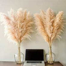 40 Inch 10 Stems Natural Pampas Grass Decor Tall, Pompas Grass, Tall Pampas Grass Wedding, Party, Farmhouse, Boho Home Decor - 最初的 - 查看 5