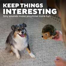 Outward Hound, Hedgehogz Plush Dog Toy, Medium - MàuC - Xem 4
