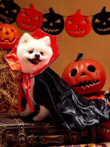 万圣节红黑色吸血鬼斗篷、宠物服装 - 彩色 - 查看 2